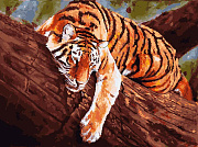 белоснежка 364-аs картина по номерам 30 х 40 см "тигр на дереве"