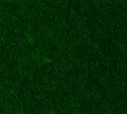 фетр однотонный твердый 5 мм / 200 х 300 мм (зеленый)  c54