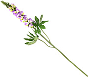 цветок декоративный "люпин" 800 мм (сиреневый)