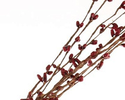 веточка декоративная коричневая 380 мм с т.красными почками