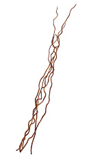 ветвь декоративная "корелиус"  d= 6-9 мм, h=850-1100 мм (коричневый)